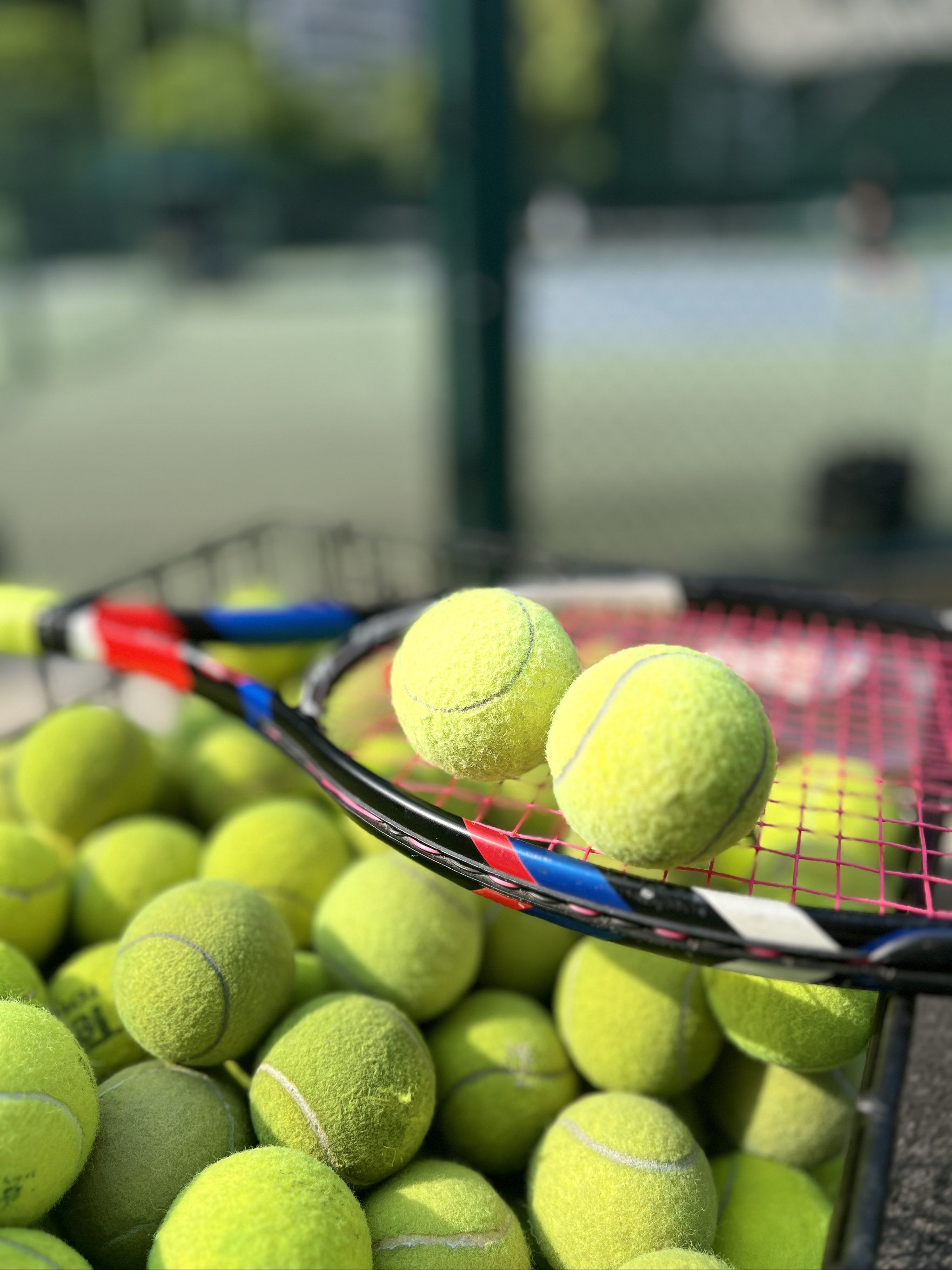 为是群体 为是群体